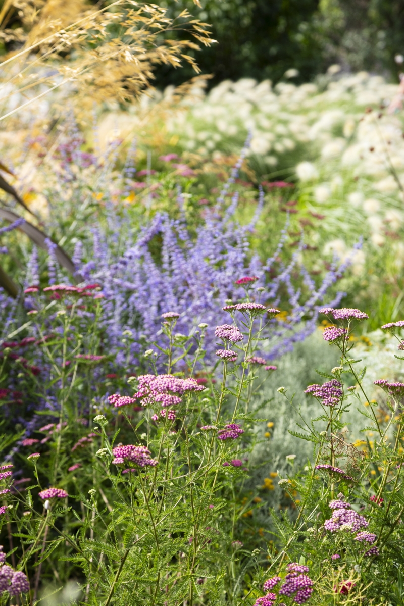Atelier NAUDIER Paysagiste