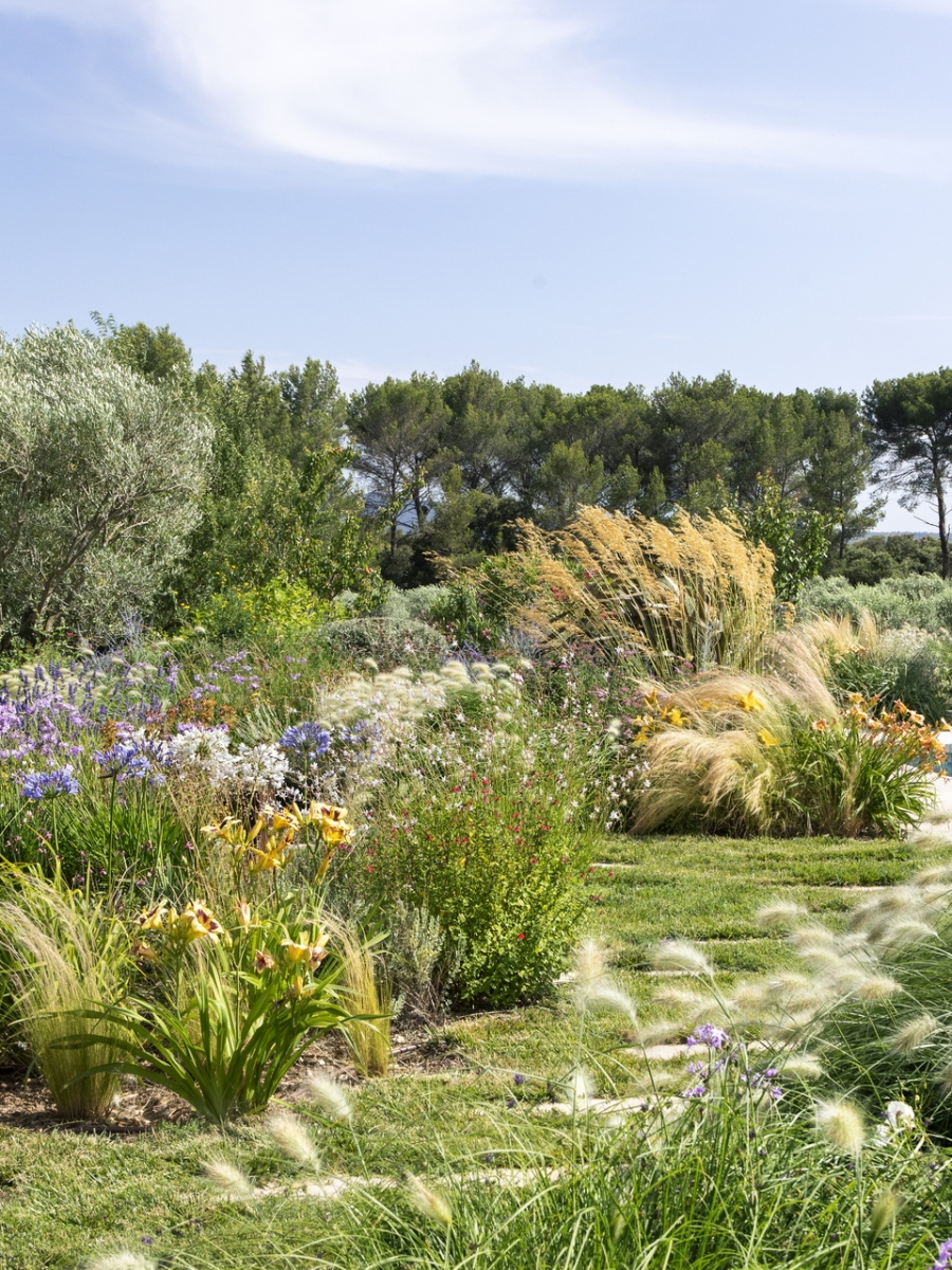 Le jardin naturaliste du haras provençal