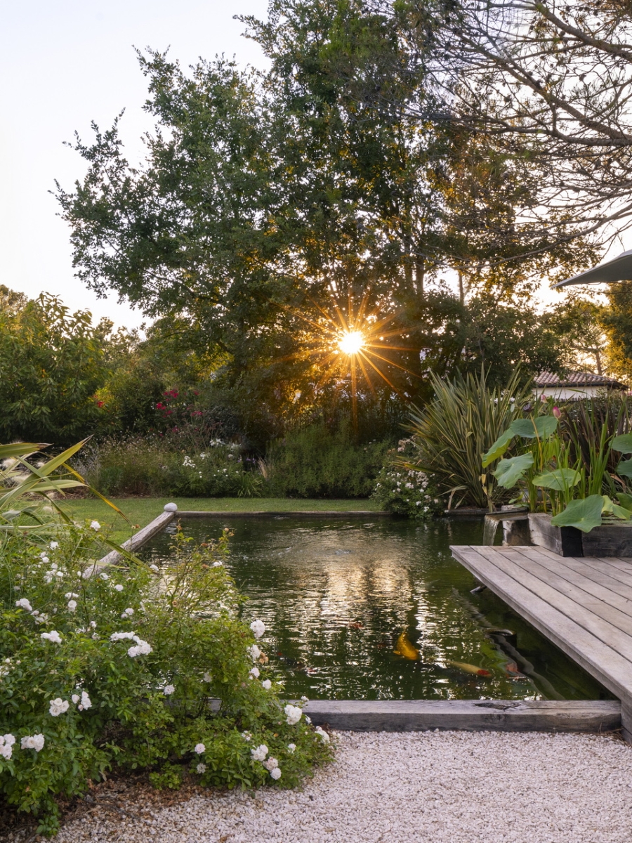 Atelier Naudier Architecte Paysagiste Concepteur Montpellier Aix En Provence Bassin Zen Lame Deau Jardin Exotique Mediterranneen Creation Et Amenagement Jardin