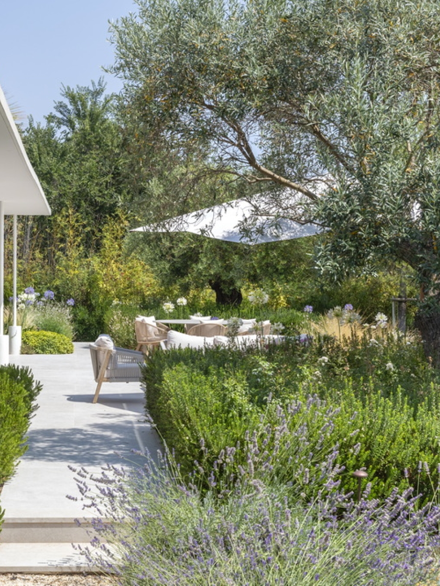 Architecture contemporaine dans un écran végétal