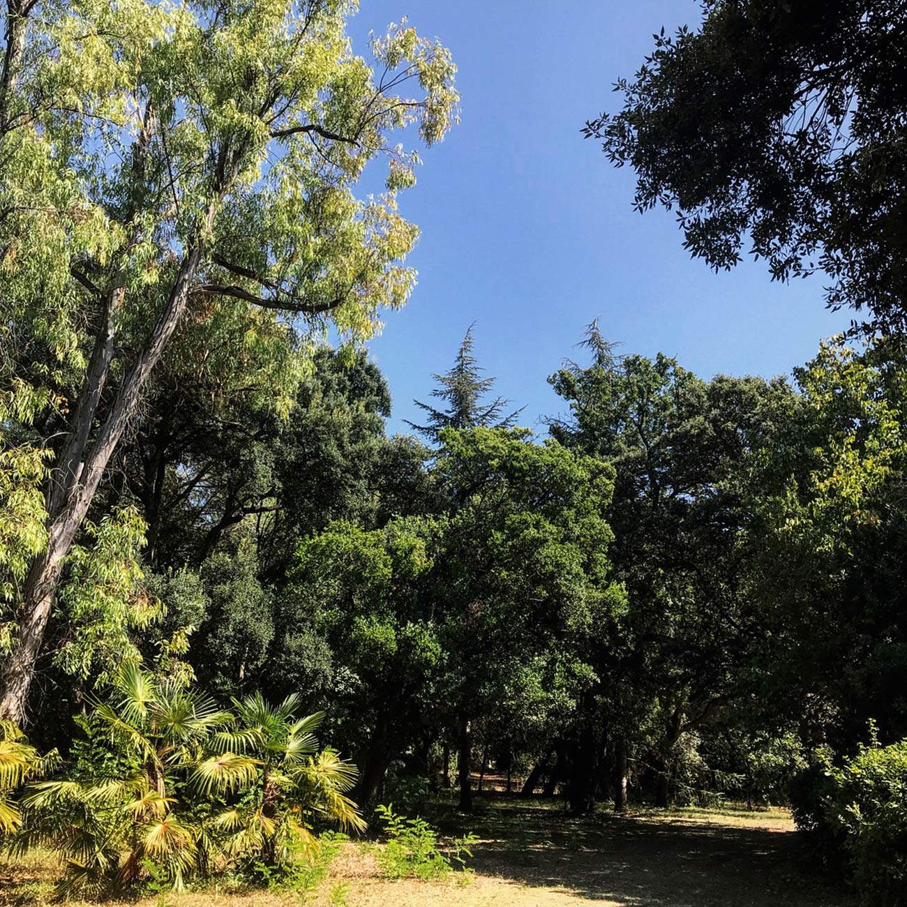 JARDINS DU CHATEAU DE FLAUGERGUES - Jardin paysage - Atelier Naudier -Architecte Paysagiste concepteur - Montpellier & Aix en Provence