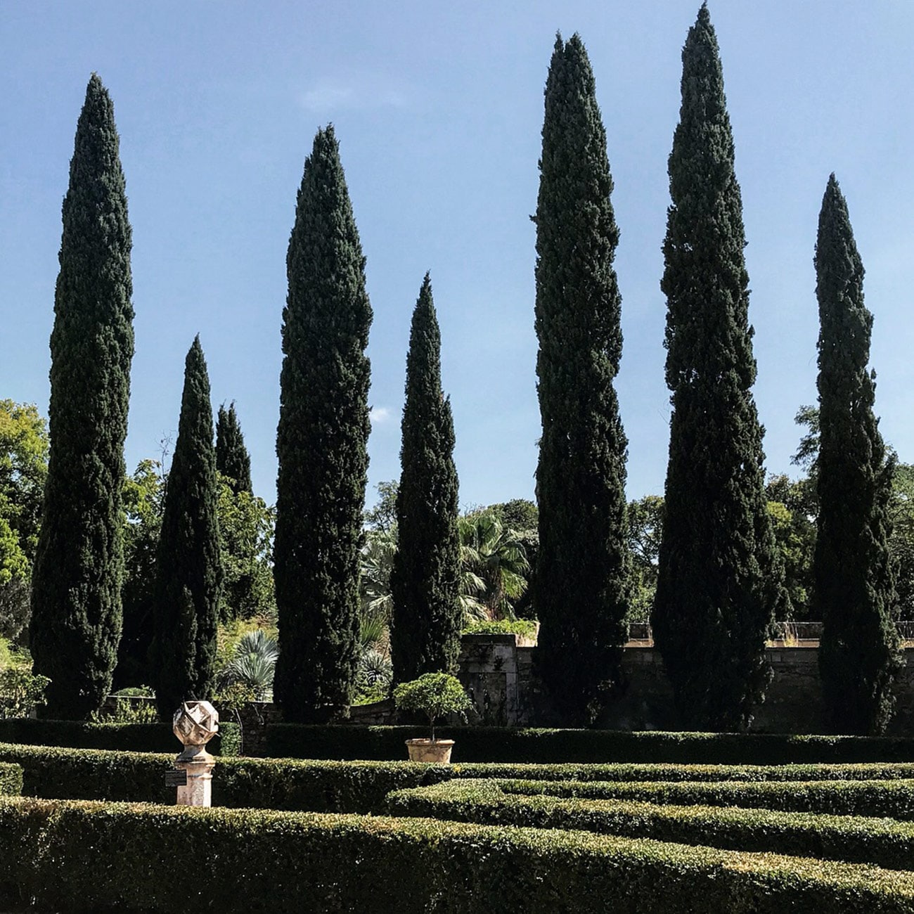 JARDINS DU CHATEAU DE FLAUGERGUES - Jeu de cypres - Atelier Naudier -Architecte Paysagiste concepteur - Montpellier & Aix en Provence