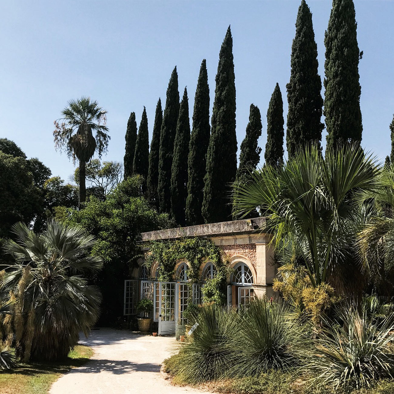 JARDINS DU CHATEAU DE FLAUGERGUES - Orangerie et massifs exotique - Atelier Naudier -Architecte Paysagiste concepteur - Montpellier & Aix en Provence