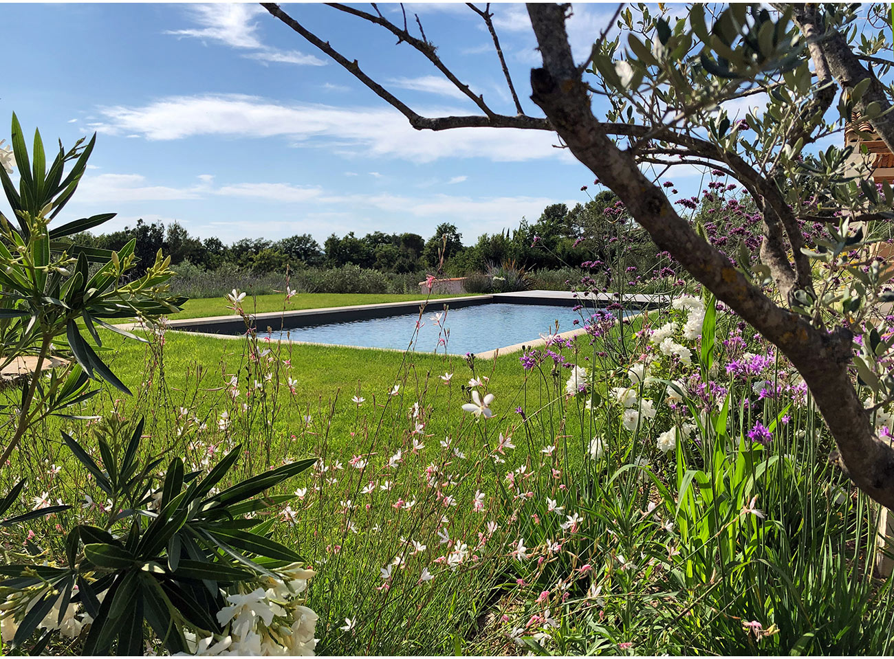 Atelier Naudier - Architecte paysagiste concepteur - Montpellier & Aix en Provence - Jardin et piscine en méditerranée