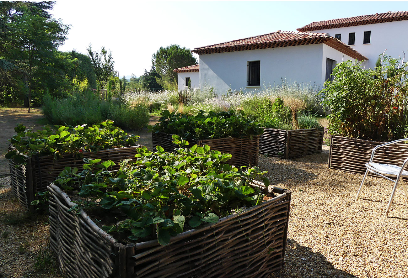 Atelier Naudier - Architecte paysagiste concepteur - Montpellier & Aix-en-Provence - JARDIN POTAGER EN CARRES - Aménagement jardin