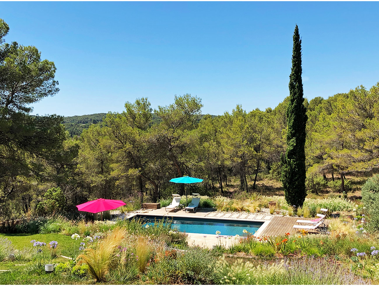 Atelier Naudier - Architecte paysagiste concepteur - Montpellier et Aix en Provence - Ambiance naturel de bords de piscine - aménagement jardin