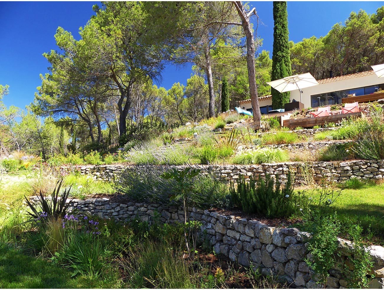 Atelier Naudier - Architecte paysagiste concepteur - Montpellier et Aix en Provence - Jardin en restanque naturaliste - aménagement jardin