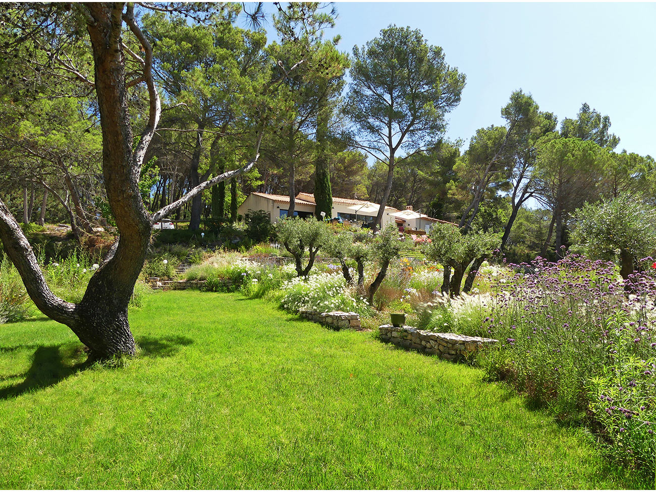 Atelier Naudier - Architecte paysagiste concepteur - Montpellier et Aix en Provence - Jardin méditerranéen contemporain - aménagement jardin