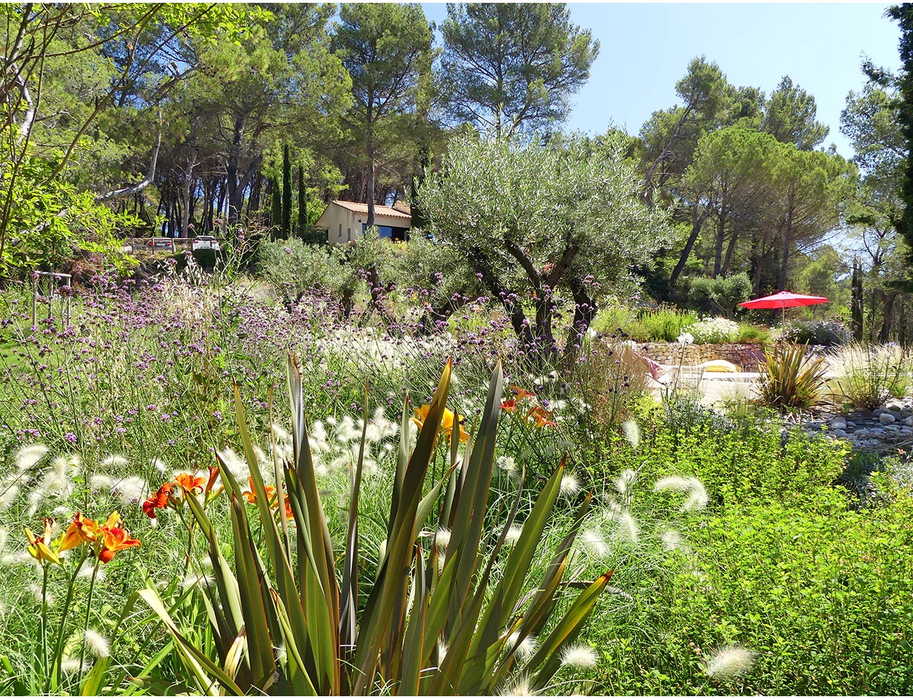 Atelier Naudier - Architecte paysagiste concepteur - Montpellier et Aix en Provence - Jardin méditerranéen fleuri et naturel - aménagement jardin