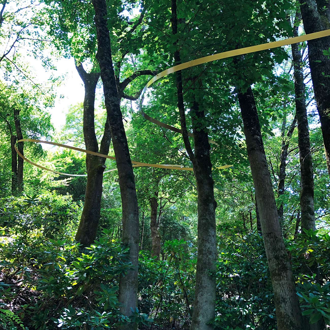 JARDIN DE L IMAGINAIRE - fil d or - Atelier Naudier - Architecte Paysagiste Concepteur -Montpellier & Aix-en-Provence