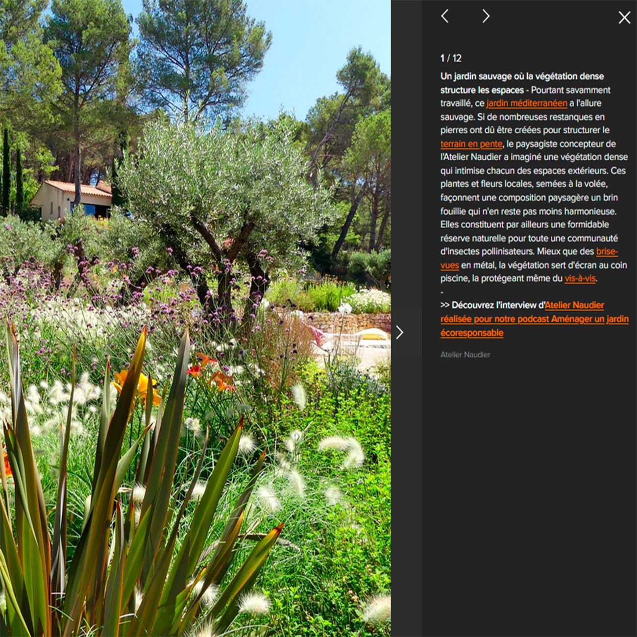 Atelier NAUDIER - Concepteur Paysagiste - Article jardin sauvage - Photo jardin méditerranéen naturaliste - COTE MAISON - Paysagiste Montpellier & Aix-en-Provence