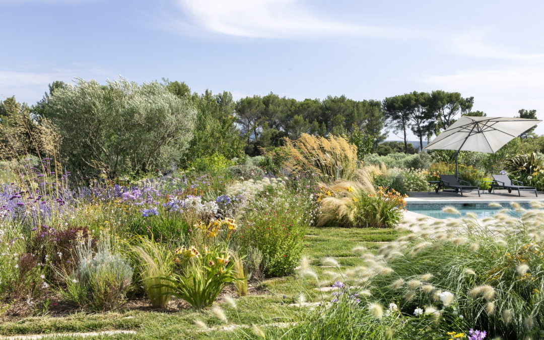 Le jardin naturaliste du haras provençal