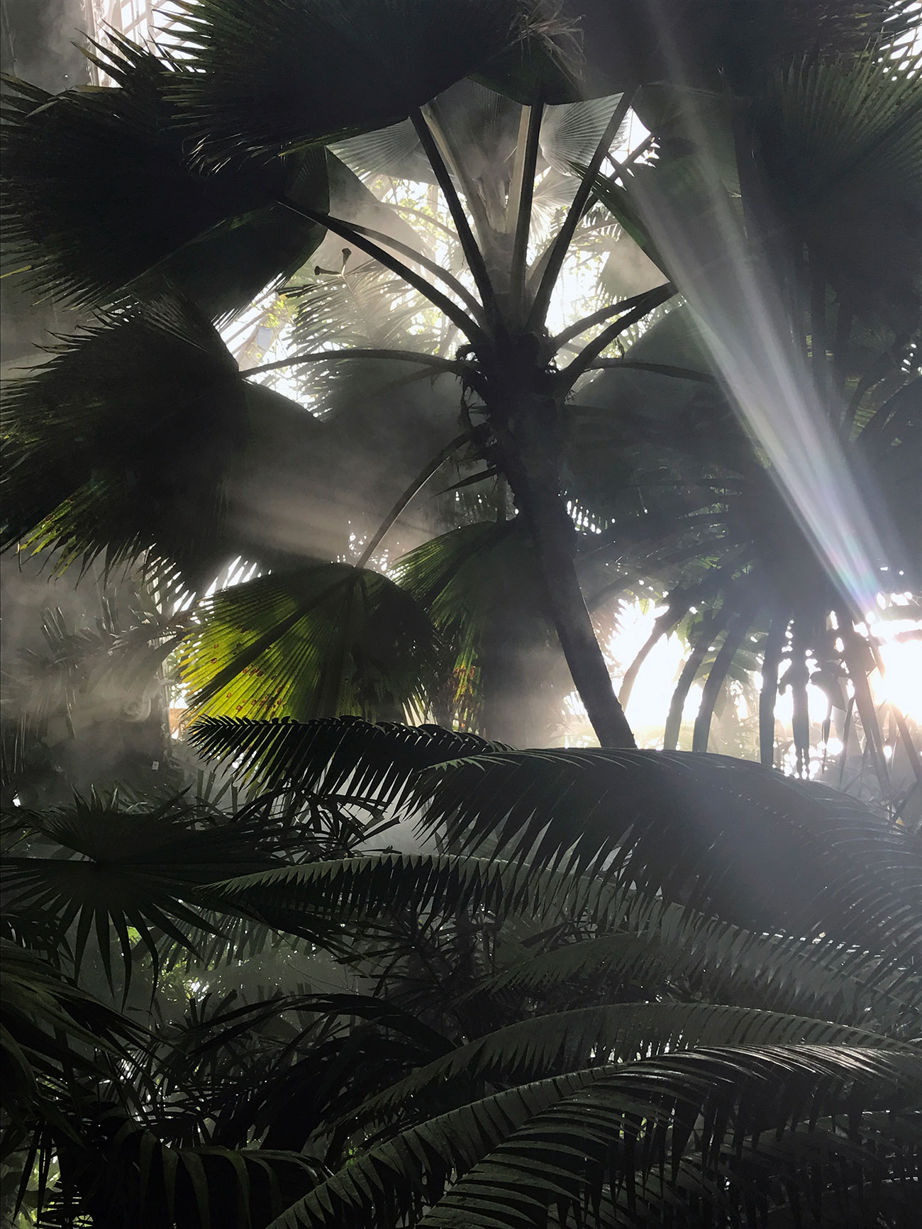 Atelier Naudier-Jardin-exotique-serre-tropicale-Kew-Garden