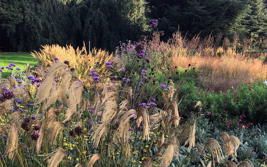 Jardin d’automne : Atmosphère mélancolique