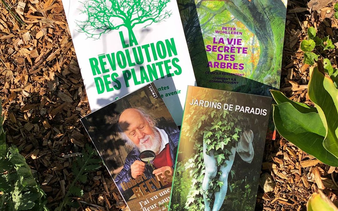 Lectures de l’été !