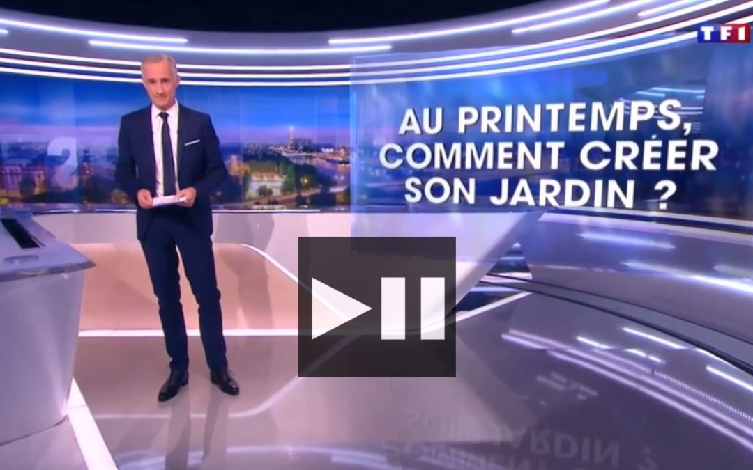 Reportage dans le 20h de TF1 « Comment créer son jardin ? »