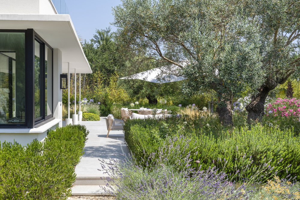 Architecture contemporaine dans un écran végétal